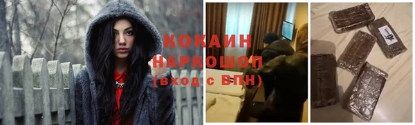 гидра Алексин