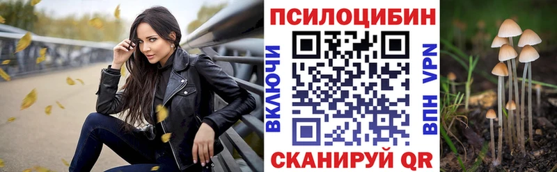 где купить наркотик  Сосновый Бор  Галлюциногенные грибы мицелий 